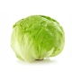 fresh vegetables Malaysia - Iceberg lettuce