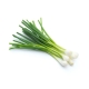 fresh vegetables Malaysia - spring onion